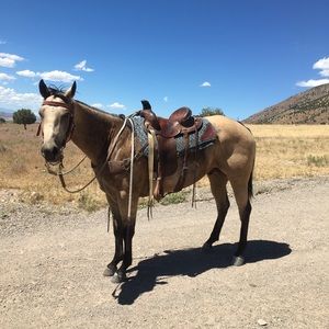 Meet your Posher, Trenten